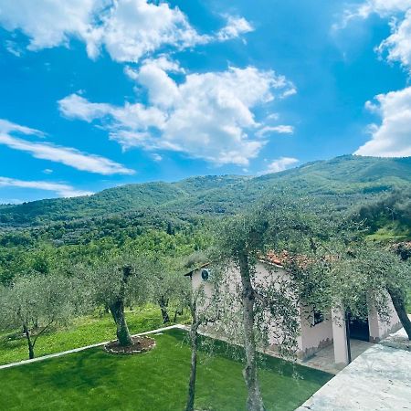 Casa Vacanze Gli Ulivi Borgomaro Luaran gambar