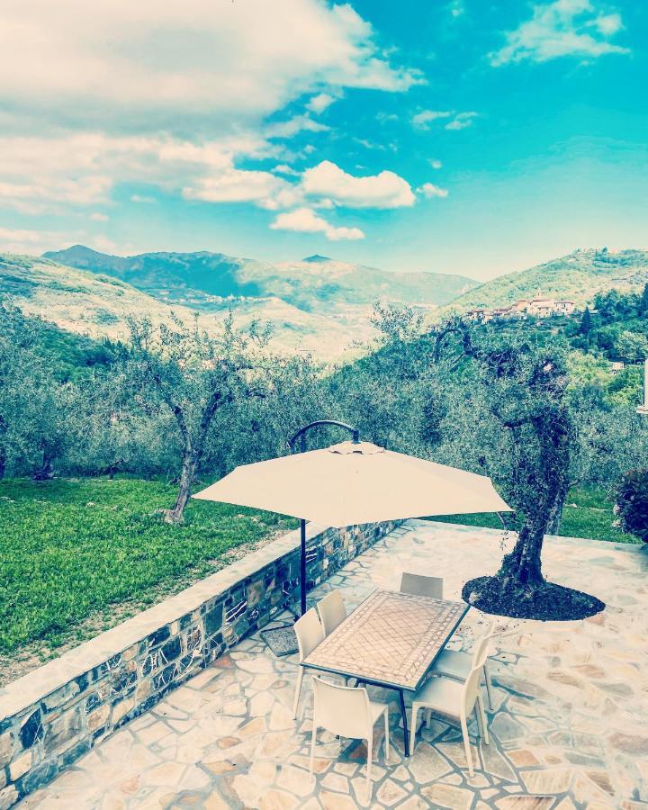 Casa Vacanze Gli Ulivi Borgomaro Luaran gambar