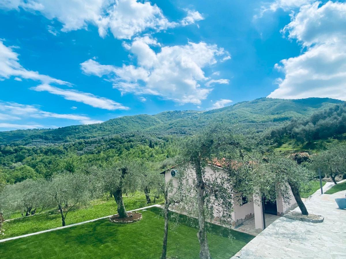 Casa Vacanze Gli Ulivi Borgomaro Luaran gambar
