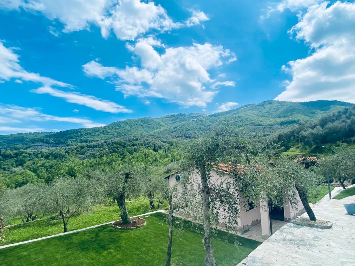 Casa Vacanze Gli Ulivi Villa Borgomaro Luaran gambar