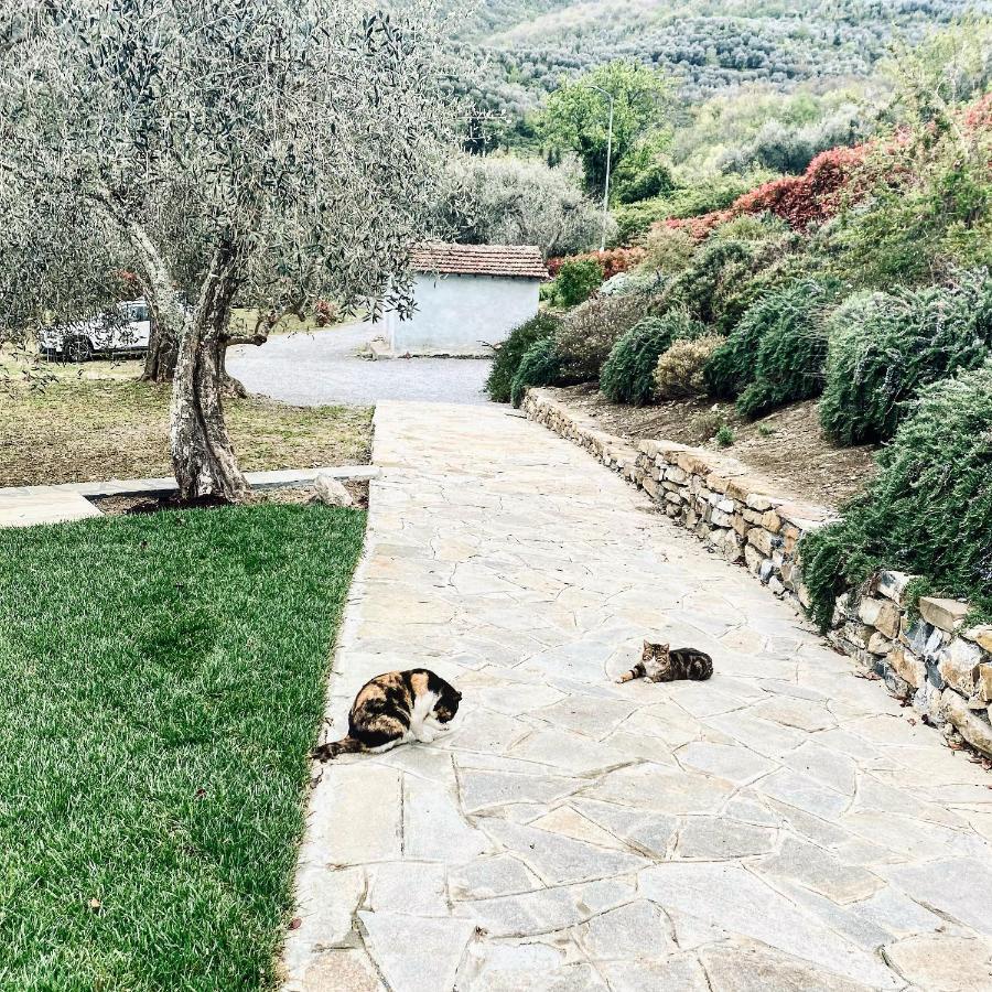 Casa Vacanze Gli Ulivi Borgomaro Luaran gambar