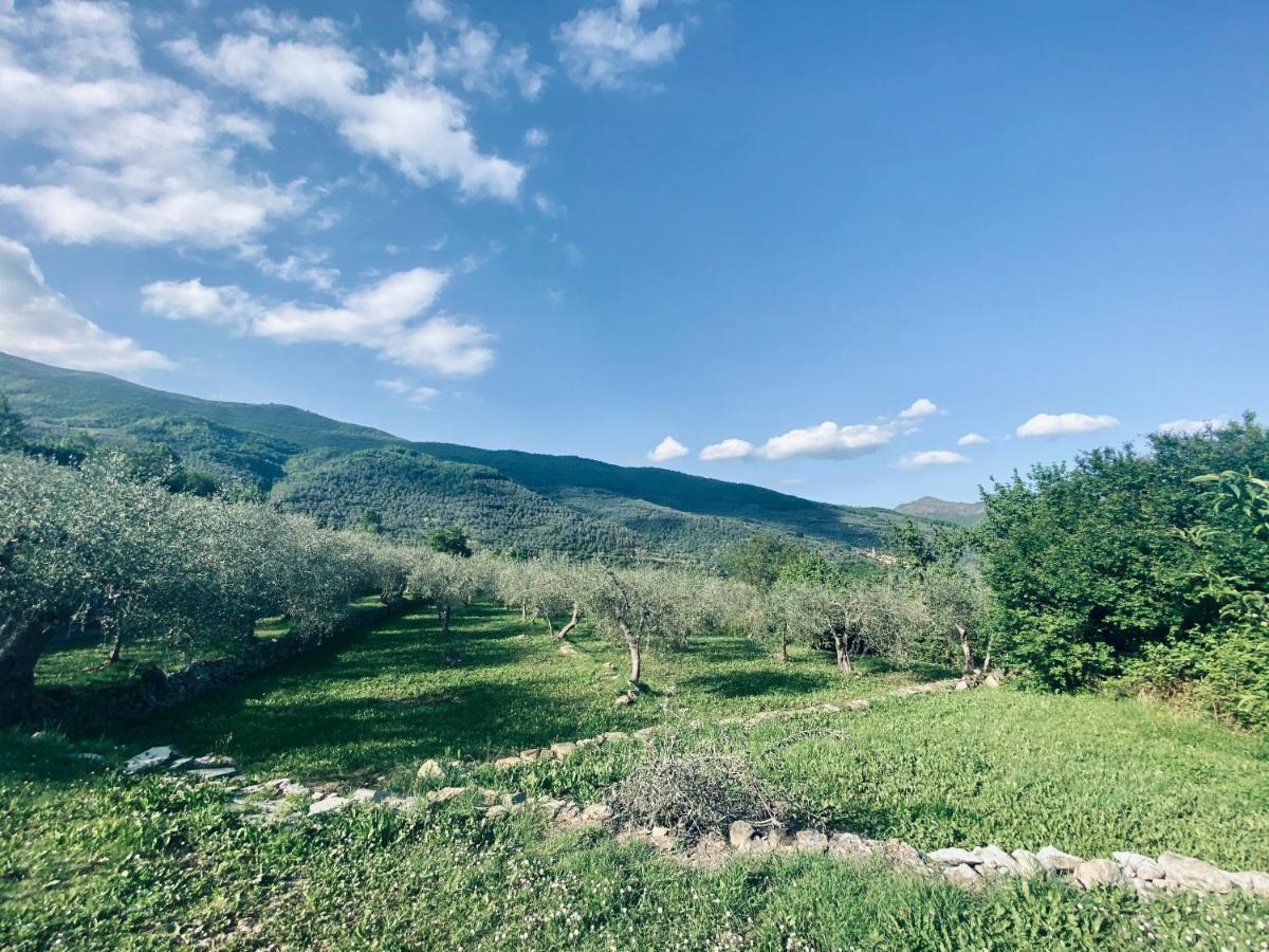 Casa Vacanze Gli Ulivi Borgomaro Luaran gambar