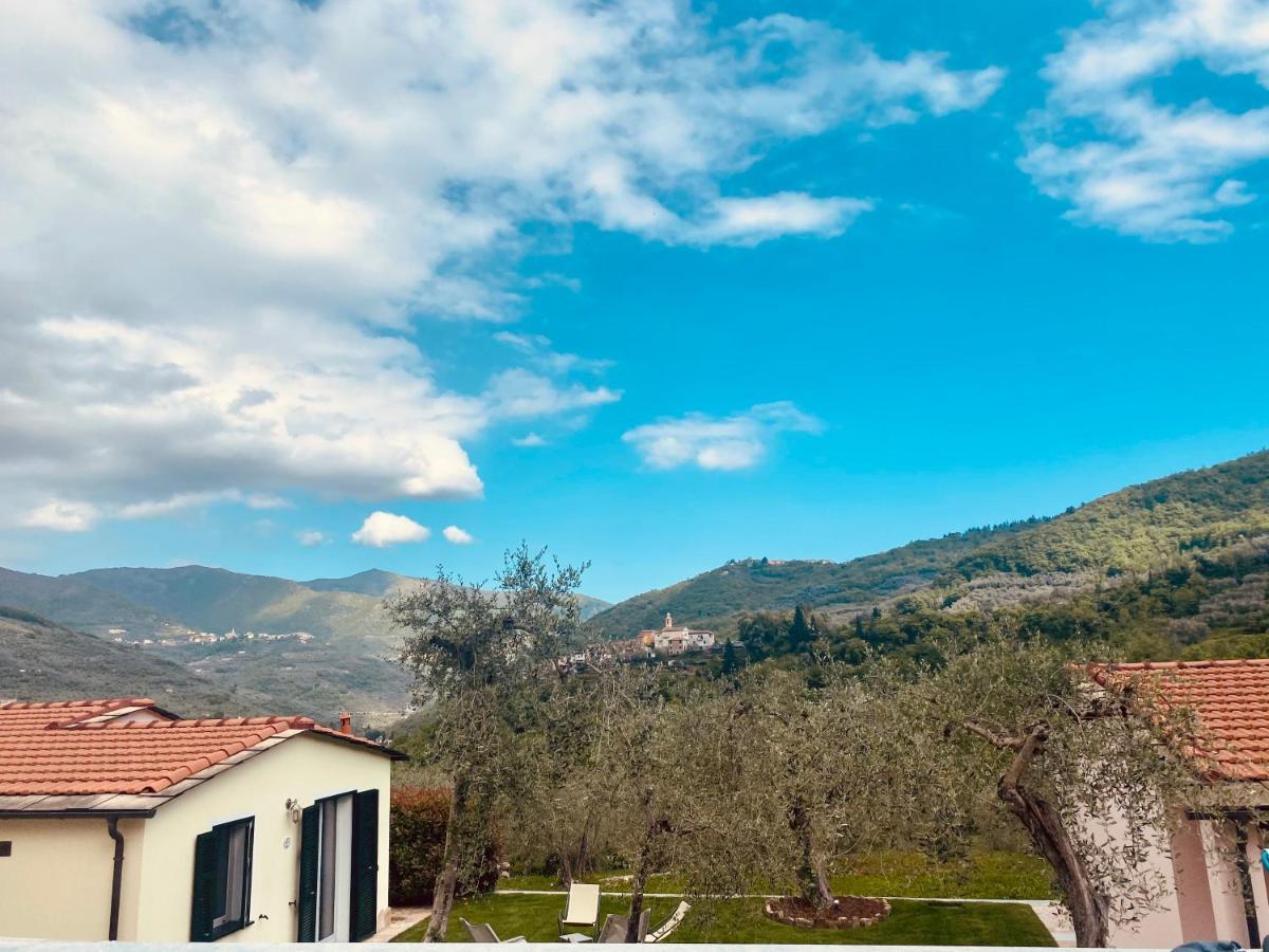 Casa Vacanze Gli Ulivi Borgomaro Luaran gambar