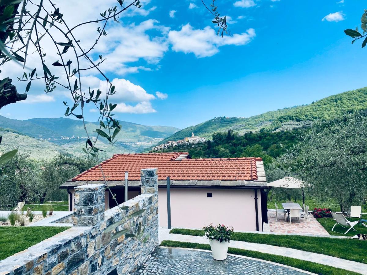 Casa Vacanze Gli Ulivi Borgomaro Luaran gambar