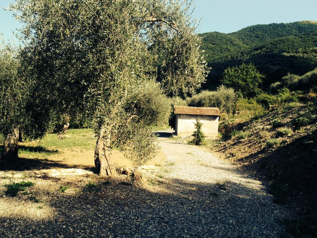 Casa Vacanze Gli Ulivi Borgomaro Bilik gambar