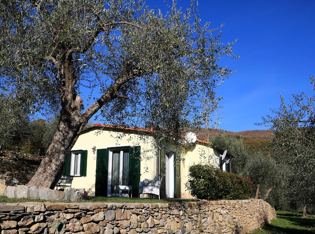 Casa Vacanze Gli Ulivi Villa Borgomaro Luaran gambar