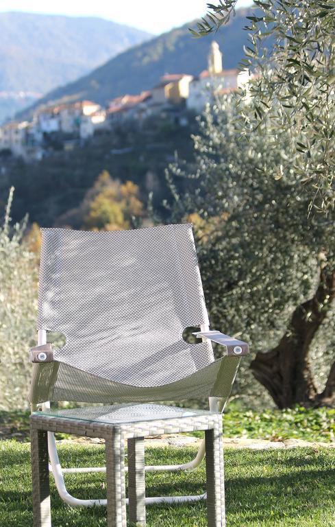 Casa Vacanze Gli Ulivi Borgomaro Luaran gambar